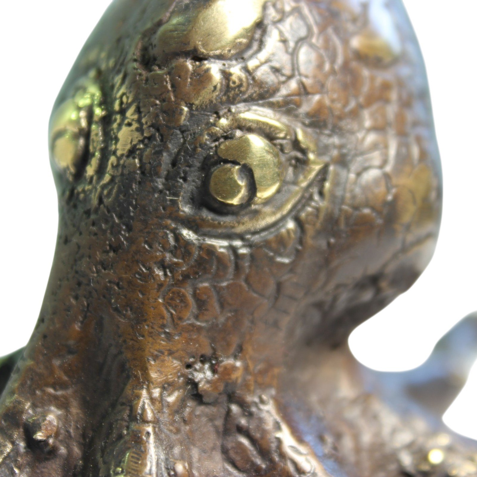 Brass octopus figurine seen from an elevated angle showing detailed head