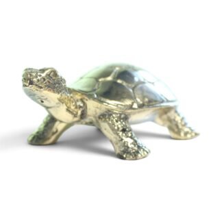 Hand-cast brass turtle figurine shown from a low front angle on a white background