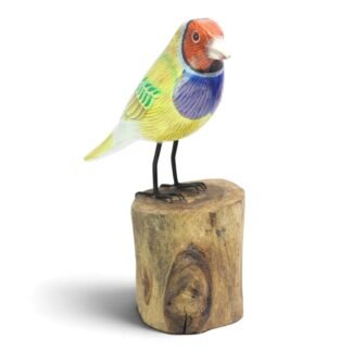 Hand-carved and hand-painted wooden Gouldian finch on a natural wood stump, front-right view